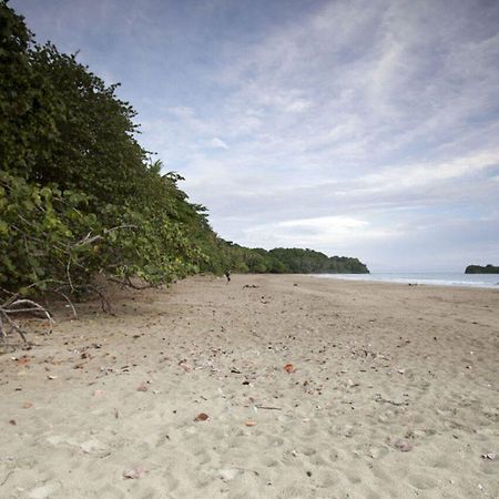 Azania Bungalows Puerto Viejo de Talamanca Ngoại thất bức ảnh
