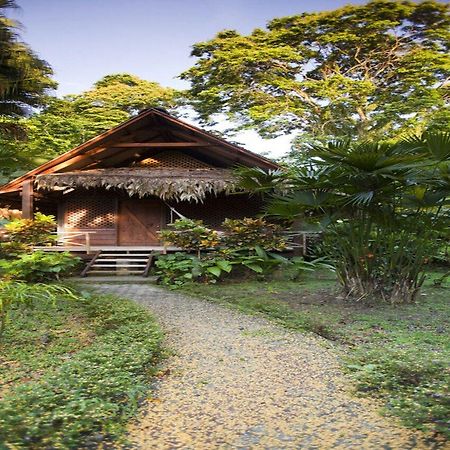 Azania Bungalows Puerto Viejo de Talamanca Ngoại thất bức ảnh