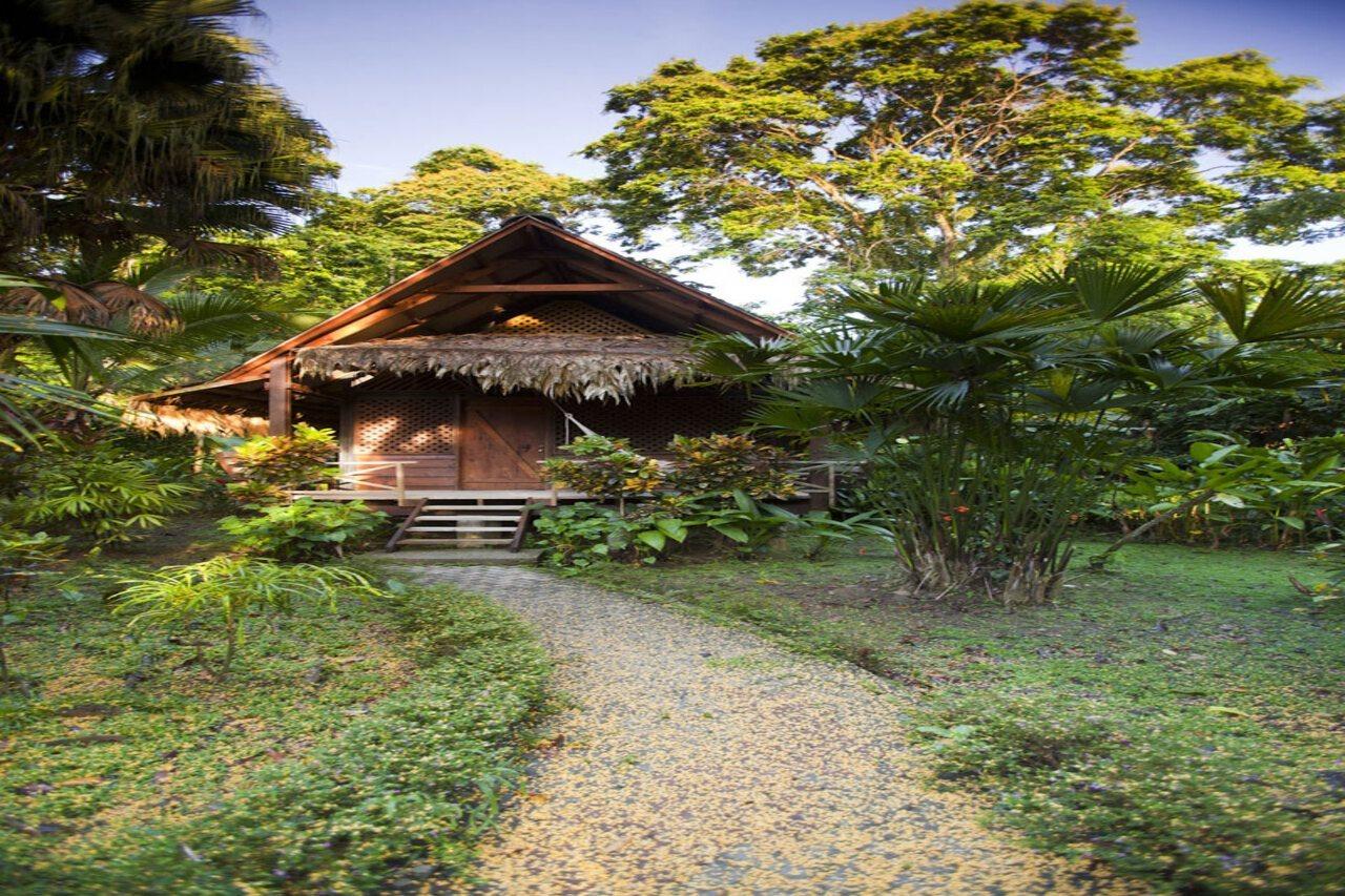 Azania Bungalows Puerto Viejo de Talamanca Ngoại thất bức ảnh
