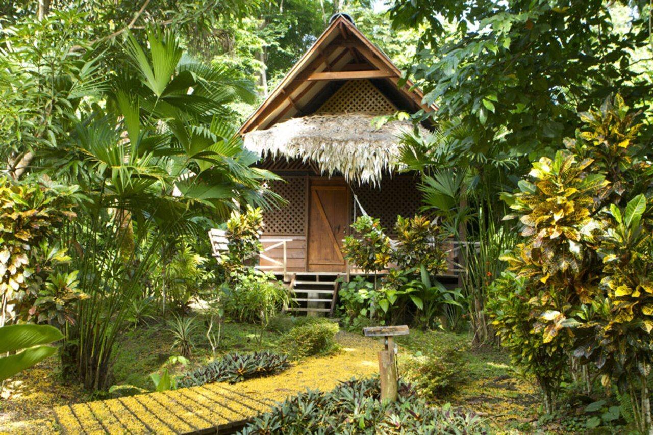 Azania Bungalows Puerto Viejo de Talamanca Ngoại thất bức ảnh