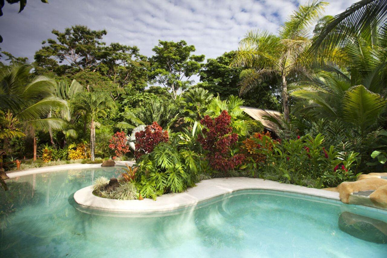 Azania Bungalows Puerto Viejo de Talamanca Ngoại thất bức ảnh