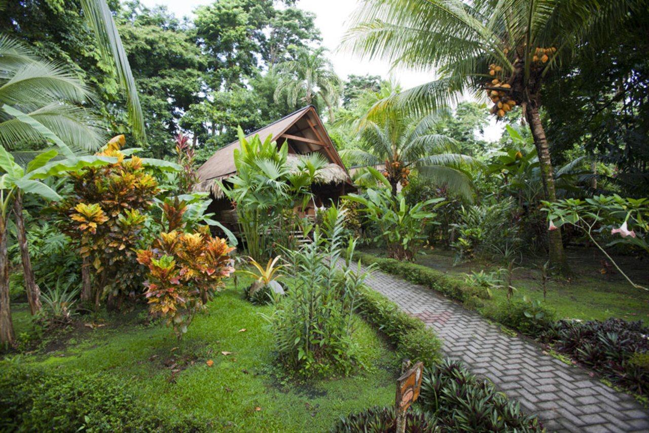 Azania Bungalows Puerto Viejo de Talamanca Ngoại thất bức ảnh