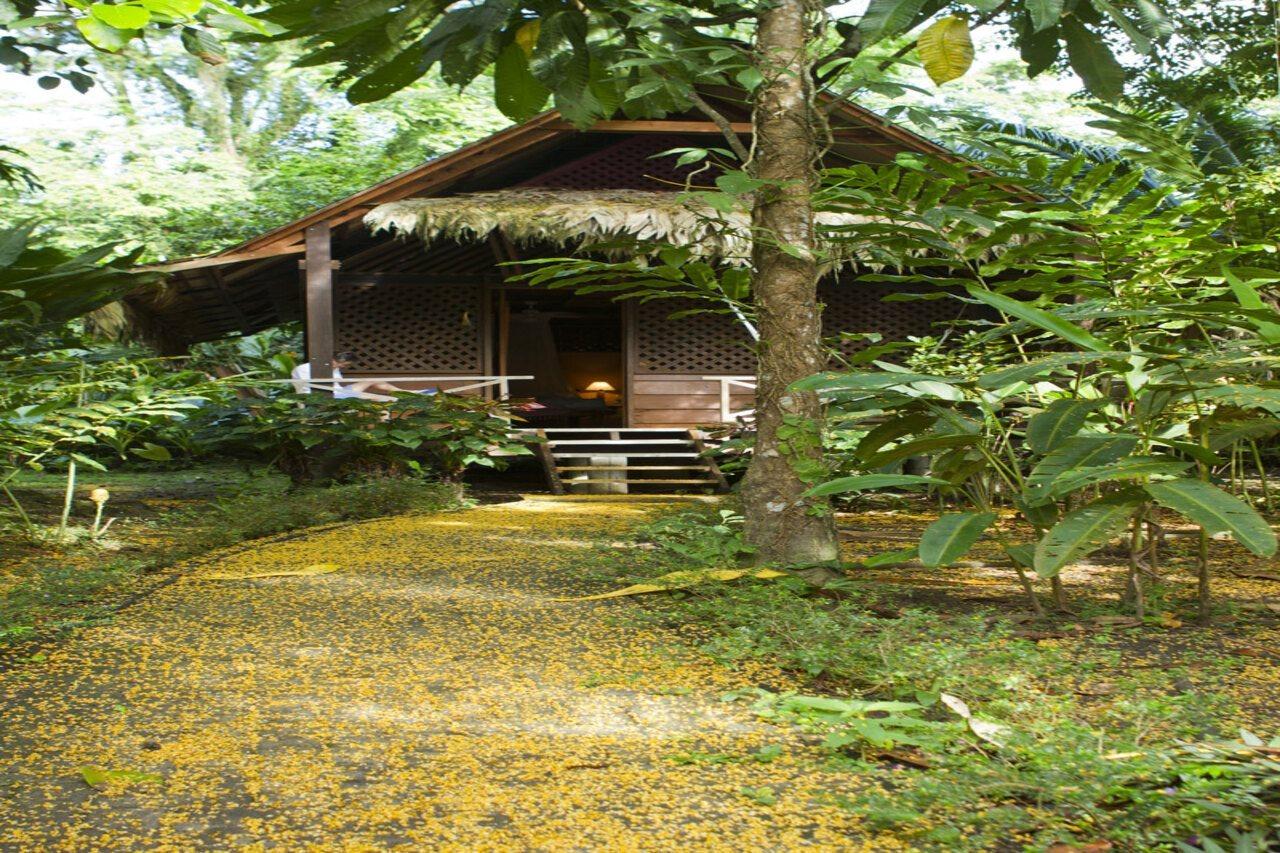 Azania Bungalows Puerto Viejo de Talamanca Ngoại thất bức ảnh