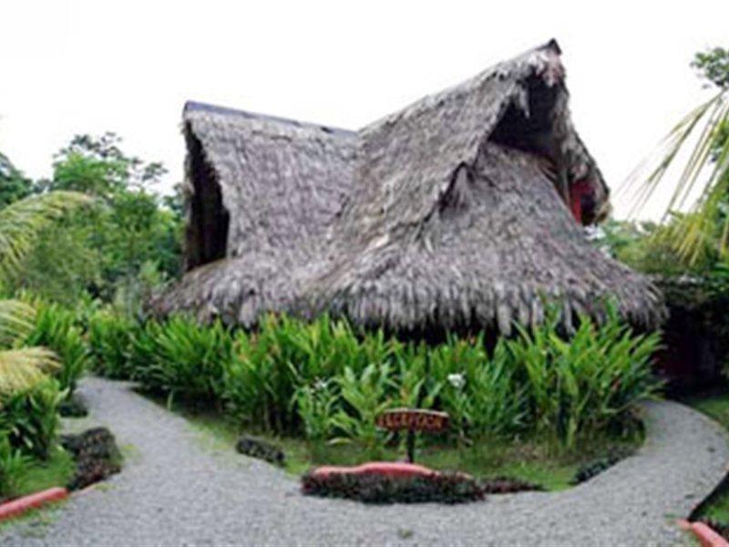 Azania Bungalows Puerto Viejo de Talamanca Ngoại thất bức ảnh