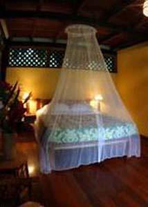 Azania Bungalows Puerto Viejo de Talamanca Ngoại thất bức ảnh
